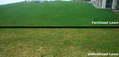 Lawn-Fertilizer-and-Weed-Control-Nitrogen-Fertilizer