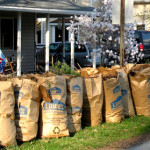 Spring-Clean-Up-Leaf-Removal-Yard-Services