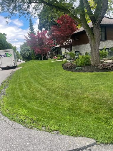 Image 6 1