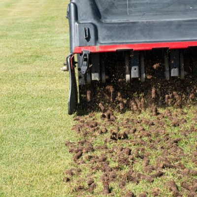 Pile of plugs of soil removed from sports field. Waste of core aeration technique used in the upkeep of lawns and turf; Shutterstock ID 1995398075; purchase_order: -; job: -; client: -