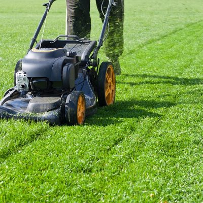 Worker guy shake pour grass from lawn mower bag into wheelbarrow. Garden meadow lawn cutting. Summer works in garden. Static shot.; Shutterstock ID 780822328; PO Number - Raise a BBC PO Using Vendor No. 1150465: -; Employee Email: -
