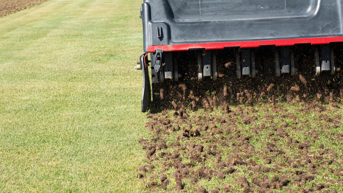 Pile of plugs of soil removed from sports field. Waste of core aeration technique used in the upkeep of lawns and turf; Shutterstock ID 1995398075; purchase_order: -; job: -; client: -