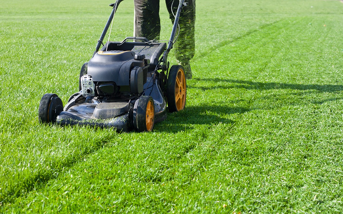 Worker guy shake pour grass from lawn mower bag into wheelbarrow. Garden meadow lawn cutting. Summer works in garden. Static shot.; Shutterstock ID 780822328; PO Number - Raise a BBC PO Using Vendor No. 1150465: -; Employee Email: -